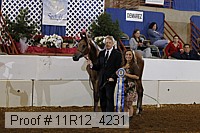 11r12_4231 proof