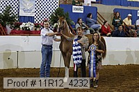 11r12_4232 proof