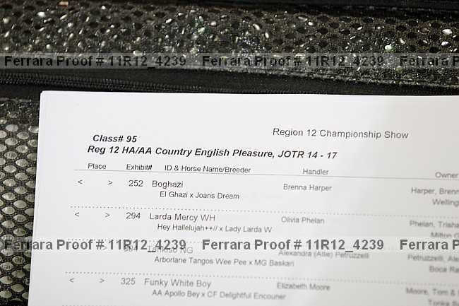 Proof 11r12_4239
