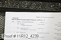 11r12_4239 proof