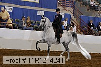 11r12_4241 proof