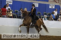 11r12_4243 proof