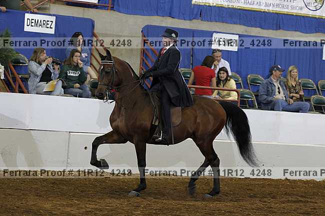 Proof 11r12_4248