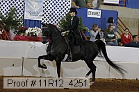 11r12_4251 proof