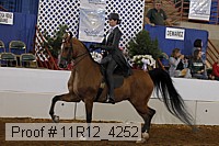 11r12_4252 proof