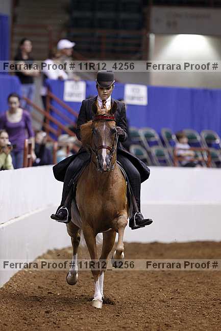 Proof 11r12_4256