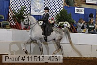11r12_4261 proof