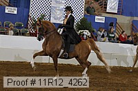 11r12_4262 proof