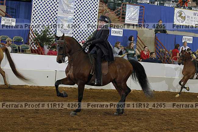 Proof 11r12_4265