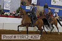11r12_4267 proof