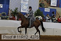 11r12_4275 proof