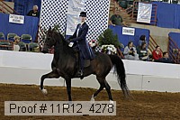11r12_4278 proof