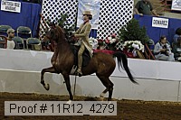 11r12_4279 proof