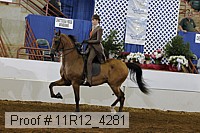 11r12_4281 proof