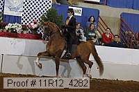 11r12_4282 proof