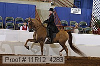 11r12_4283 proof