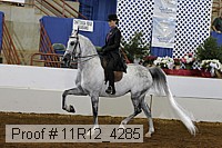 11r12_4285 proof