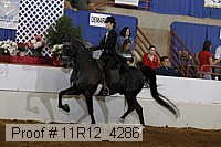 11r12_4286 proof