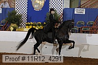 11r12_4291 proof