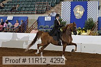 11r12_4292 proof