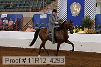 11r12_4293 proof
