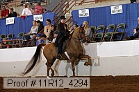11r12_4294 proof