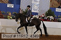 11r12_4349 proof