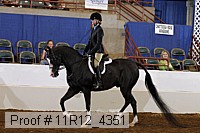 11r12_4351 proof