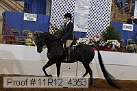 11r12_4353 proof