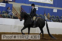 11r12_4361 proof