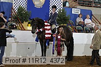 11r12_4372 proof