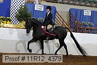 11r12_4379 proof