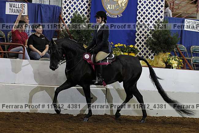 Proof 11r12_4381