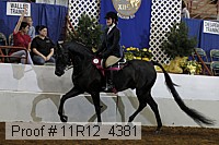 11r12_4381 proof