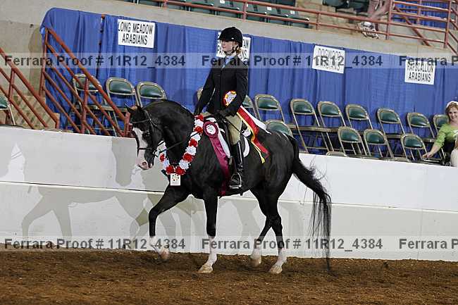 Proof 11r12_4384