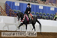 11r12_4384 proof