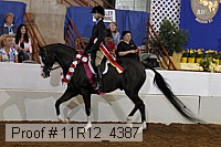 11r12_4387 proof