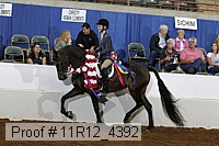 11r12_4392 proof