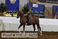 11r12_4403 proof