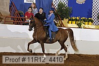 11r12_4410 proof