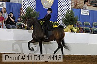 11r12_4413 proof