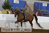 11r12_4420 proof