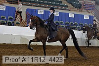 11r12_4423 proof