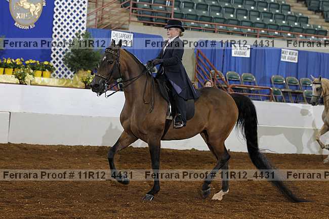 Proof 11r12_4431