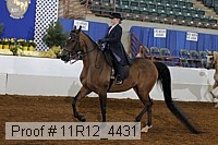 11r12_4431 proof