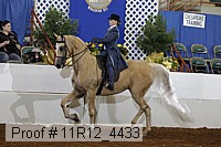 11r12_4433 proof