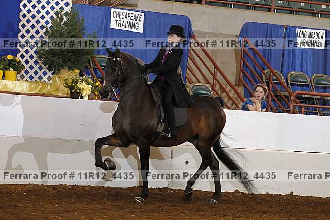 Proof 11r12_4435