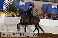 11r12_4435 proof