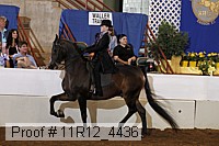 11r12_4436 proof