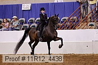 11r12_4438 proof